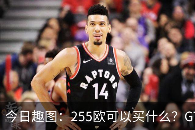 今日趣图：255欧可以买什么？GTA6，航母模型还是一箱养乐多？