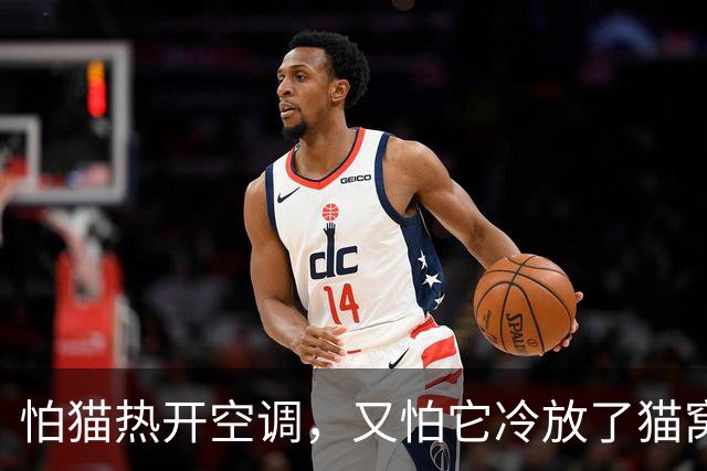 怕猫热开空调，又怕它冷放了猫窝，结果一看监控，绝了！