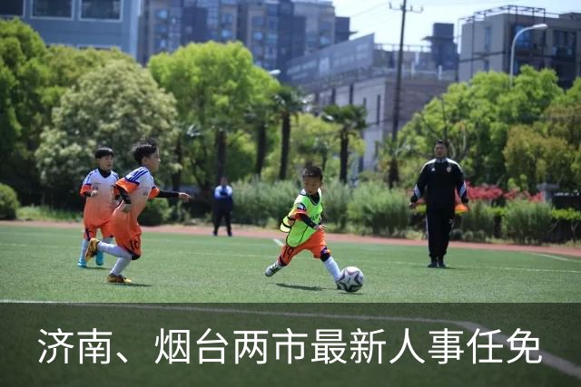济南、烟台两市最新人事任免