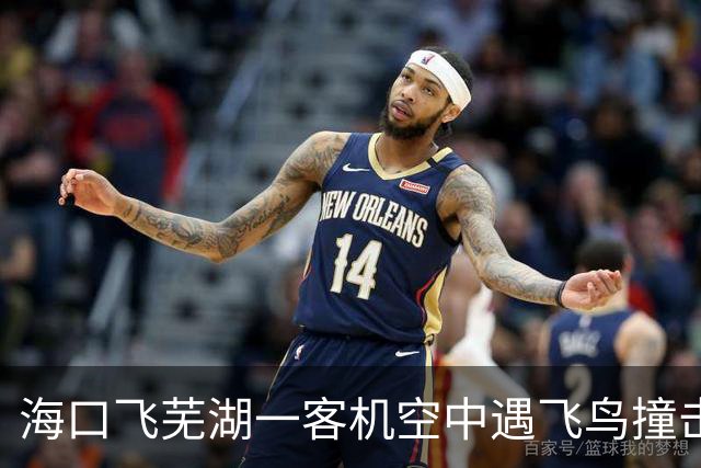 海口飞芜湖一客机空中遇飞鸟撞击，起飞20分钟后返航检查，桂林航空客服回应