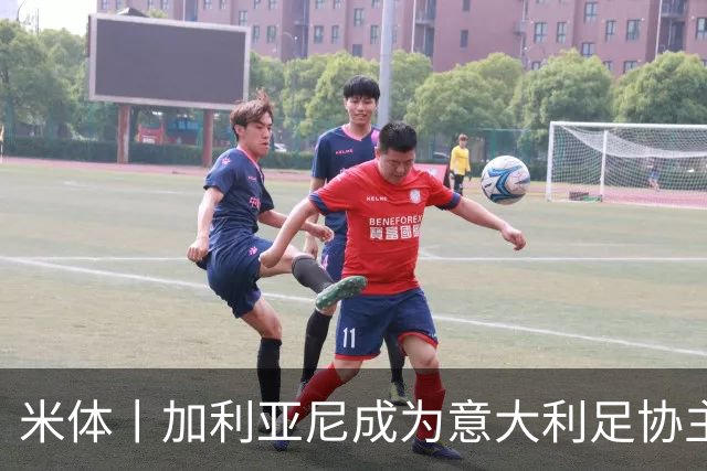 米体丨加利亚尼成为意大利足协主席热门人选