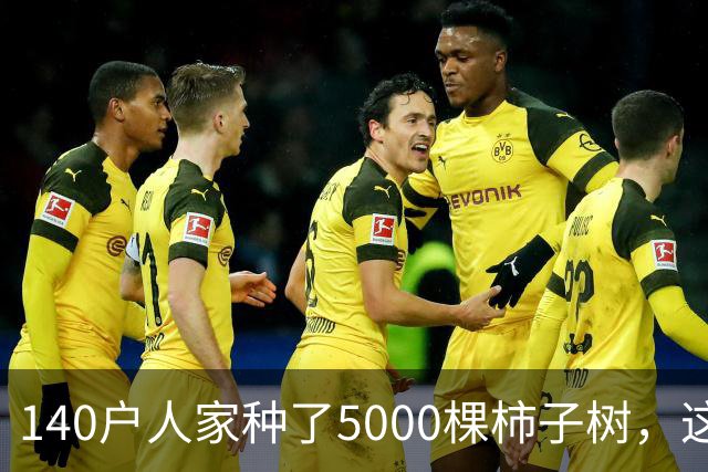 140户人家种了5000棵柿子树，这个浙江小村国庆6天来了8万人
