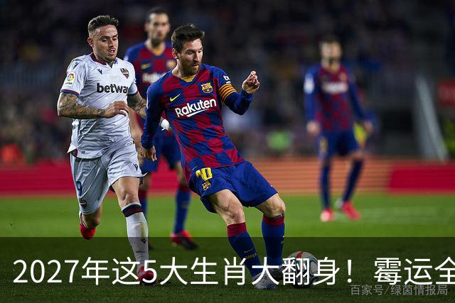 2027年这5大生肖大翻身！霉运全消，事业起飞，正财偏财全面爆发